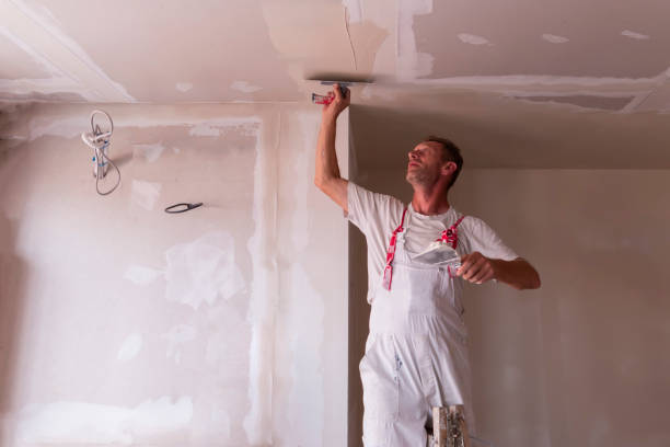 Reliable The Homesteads, TX Painting & Drywall Services Solutions